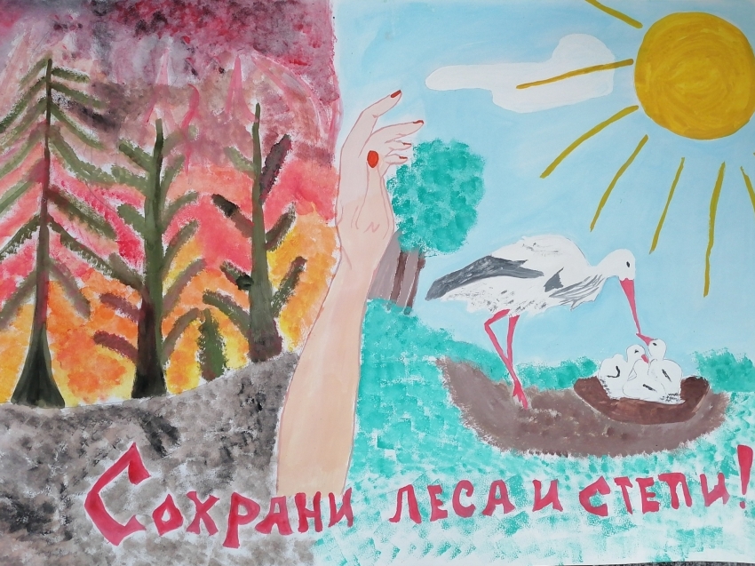 В Забайкалье подвели итоги конкурса  «Сохраним леса и степи от пожаров»